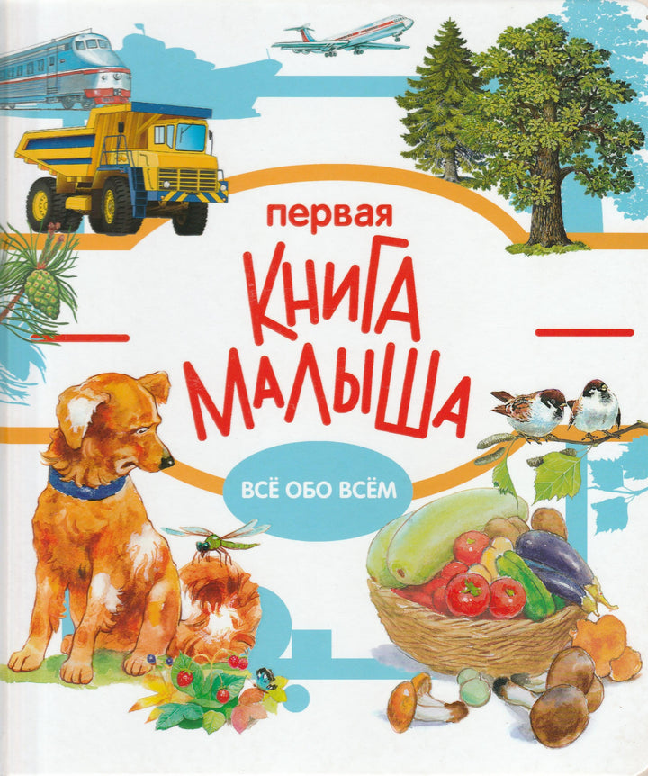 Первая книга малыша. Все обо всем-Чукавин А.-Стрекоза-Lookomorie