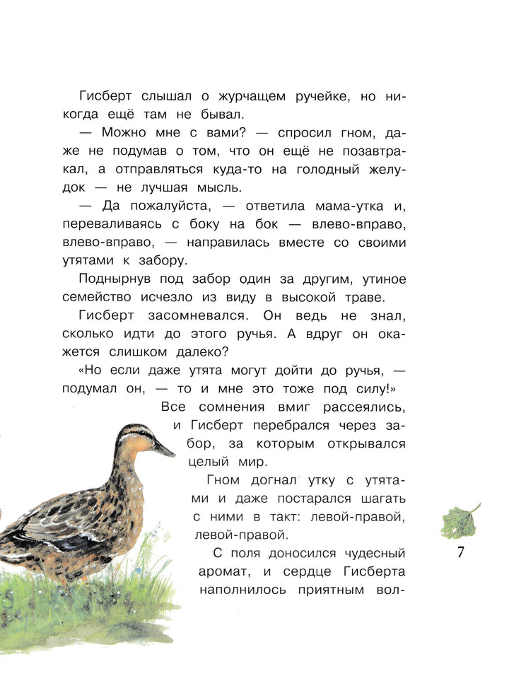  Дрешер Д. Гном из водосточной трубы. Журчащий ручеёк-Дрешер Д.-Стрекоза-Lookomorie