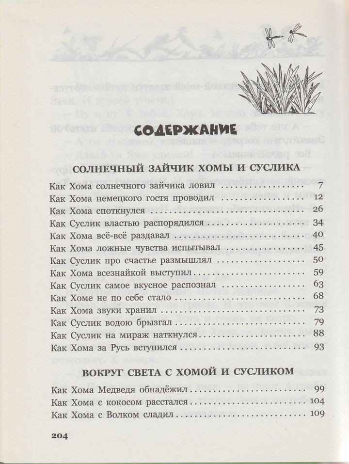 А. Иванов. Солнечный зайчик Хомы и Суслика (илл. С. Бордюг)-Иванов А.-Азбука-Lookomorie