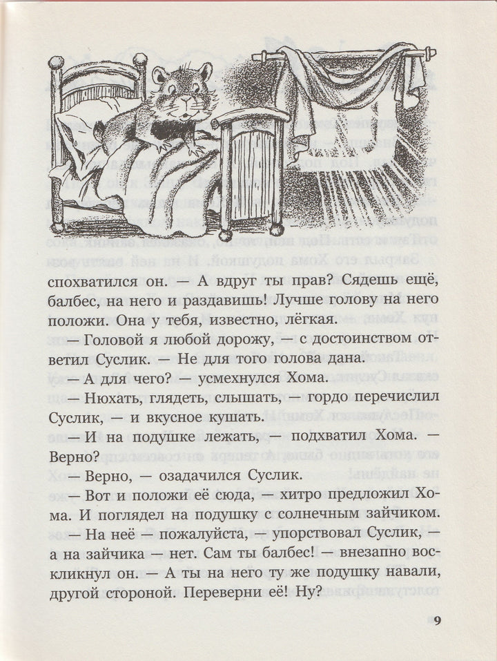 А. Иванов. Солнечный зайчик Хомы и Суслика (илл. С. Бордюг)-Иванов А.-Азбука-Lookomorie