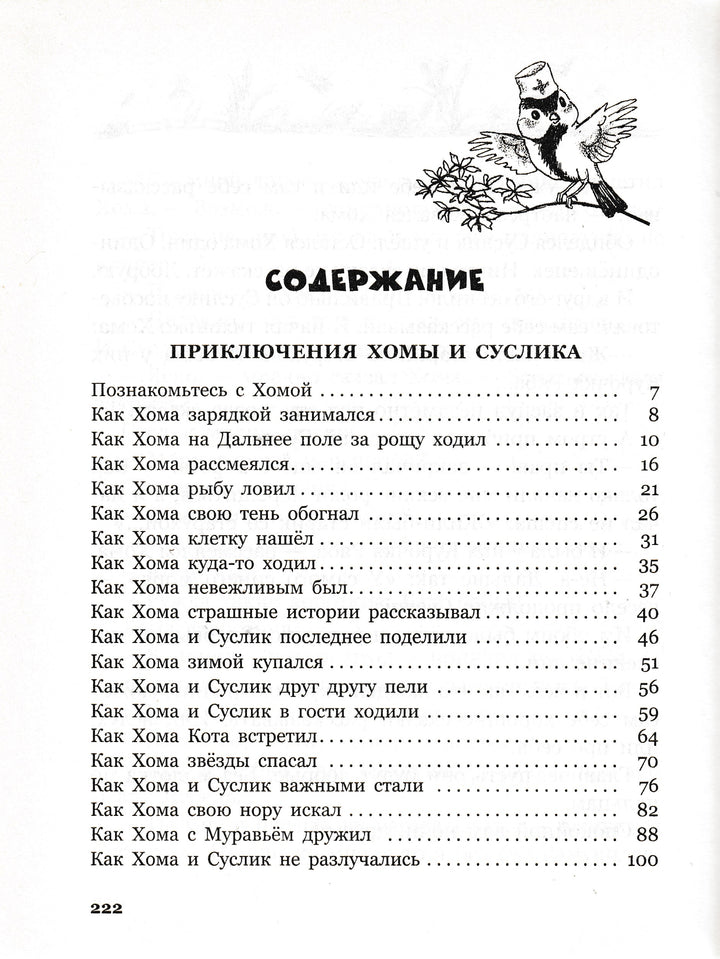 Иванов А. Приключения хомы и суслика (илл. С. Бордюг)-Иванов А.-Махаон-Lookomorie