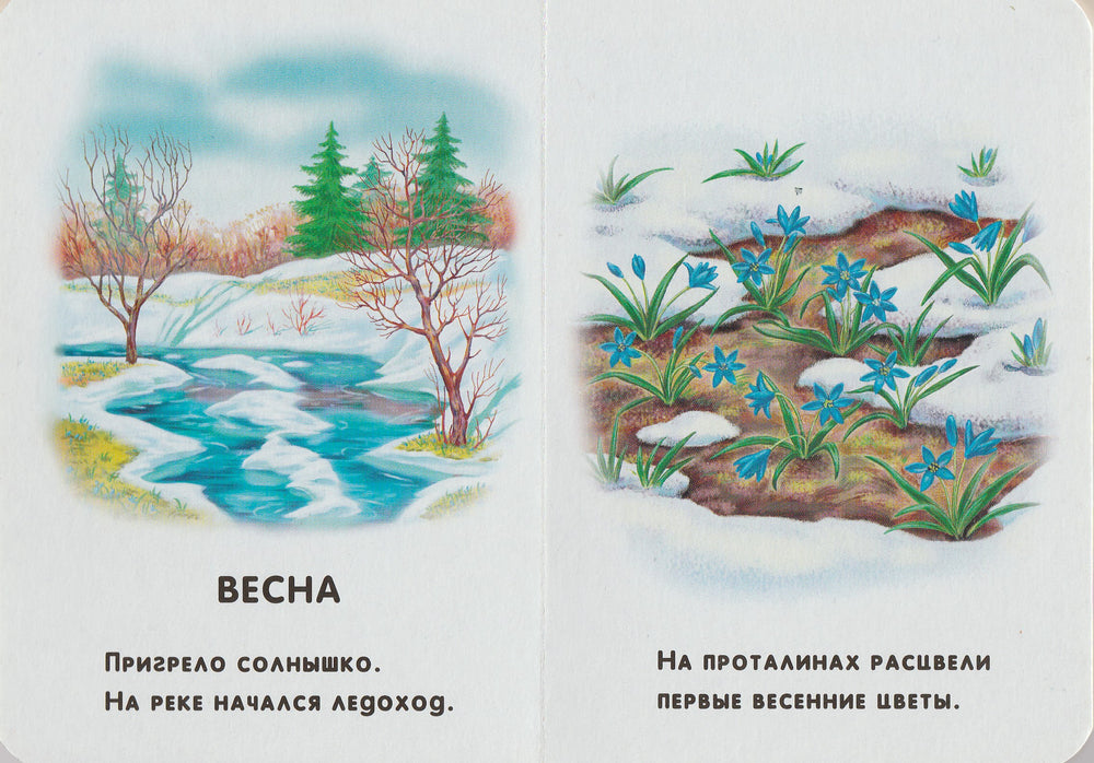 Времена года. 22 картинки. Книжки-картонки-Ворсло В.-Ранок-Lookomorie