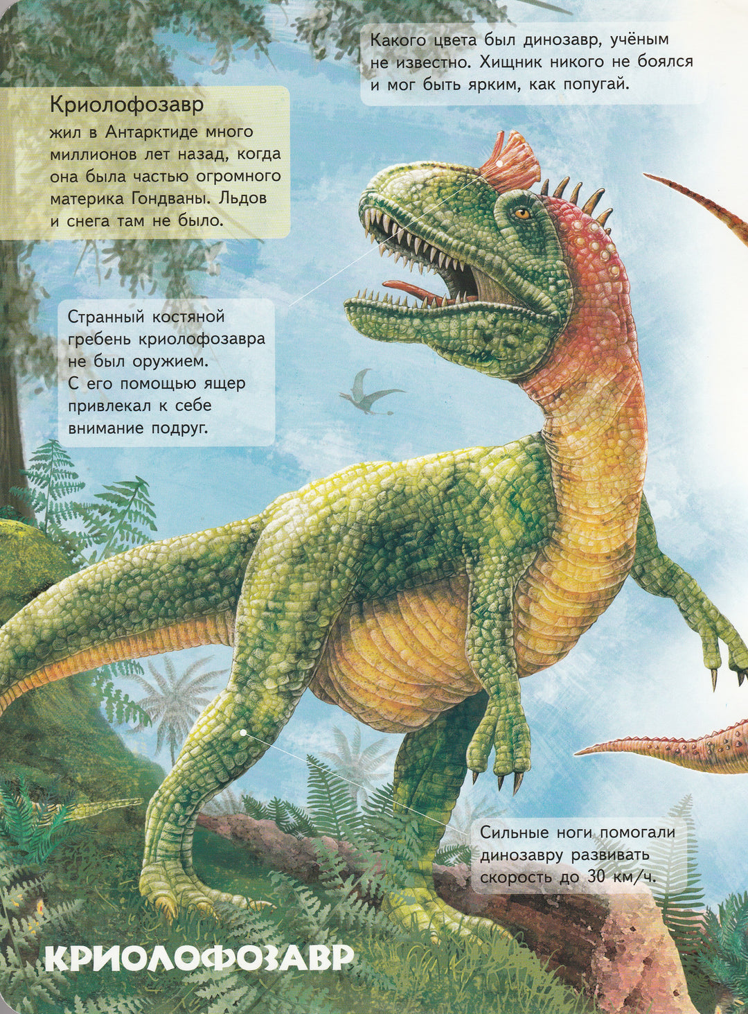 Моя первая книга о динозаврах. Книга-картон-Томашевска Н.-Пегас-Lookomorie