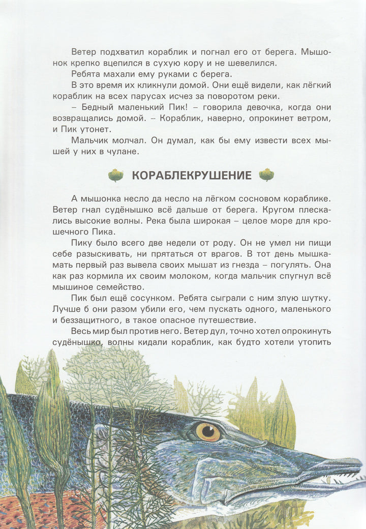Бианки В. Сказки и рассказы о животных-Бианки В.-Современная школа-Lookomorie